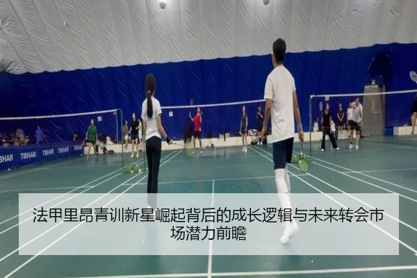 法甲里昂青训新星崛起背后的成长逻辑与未来转会市场潜力前瞻