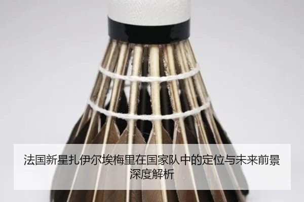 法国新星扎伊尔埃梅里在国家队中的定位与未来前景深度解析
