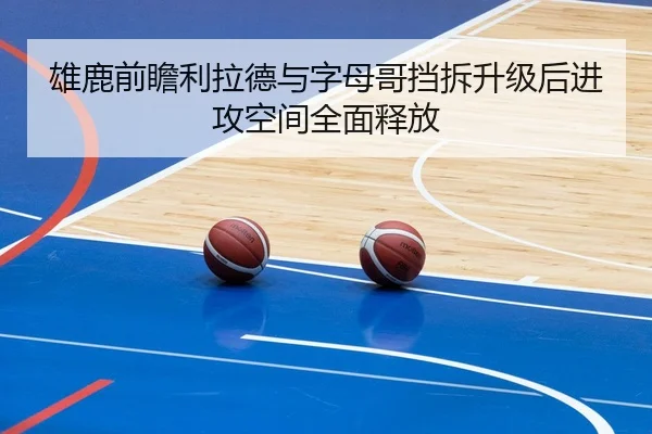 雄鹿前瞻利拉德与字母哥挡拆升级后进攻空间全面释放