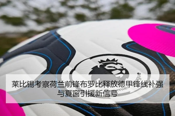 莱比锡考察荷兰前锋布罗比释放德甲锋线补强与夏窗引援新信号